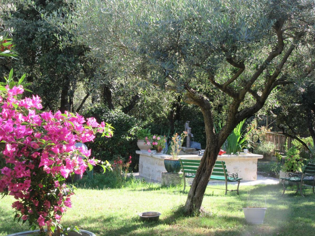 Domaine Du Bois Gite Bleuette Galargues Ngoại thất bức ảnh